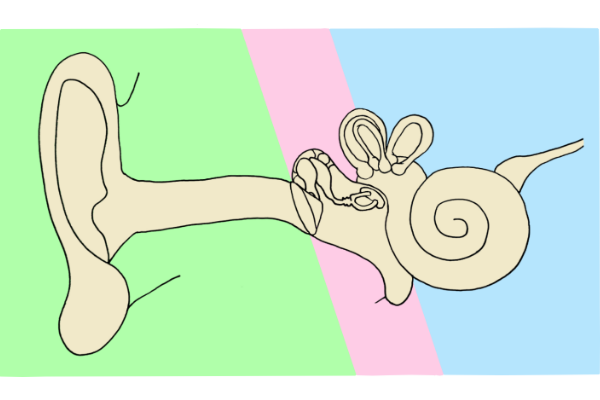 テレビが聞こえにくい人のためのワイヤレス骨伝導ヘッドホン 補聴器専門店ミラックス 茅ヶ崎店