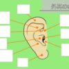 外耳の名称アイキャッチ