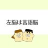 <電話は右耳で聞くのがおすすめ>言語と環境音【脳の働き】 左脳
